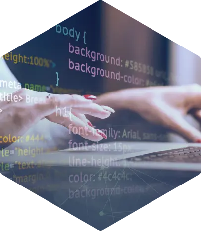 Custom Software Development Services for Businesses of All Sizes